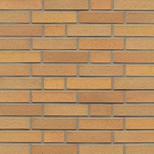 L06 - Hellbraun Bunt Geschält