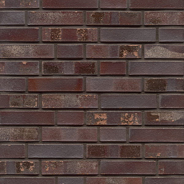 L10S - Violettblau Geflammt Spezial