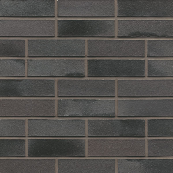 L15 - Schwarzbunt Edelglanz