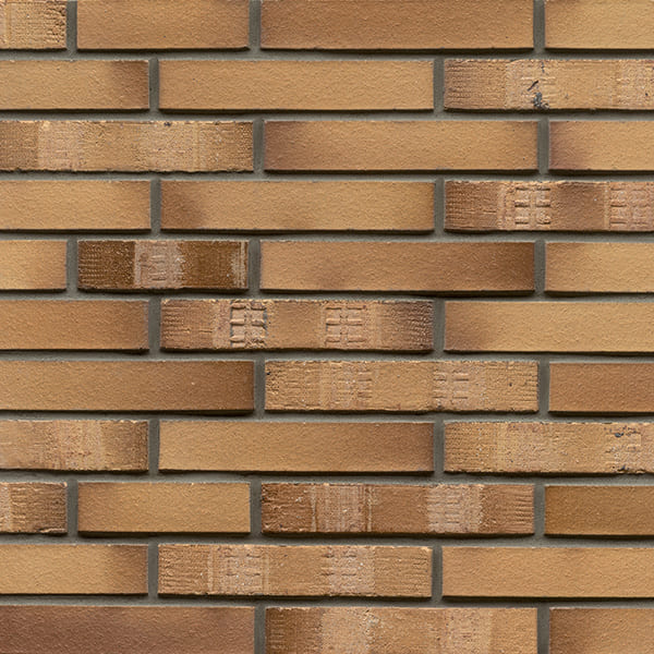 L06EG/FoS - Hellbraun Bunt Edelglanz FoS